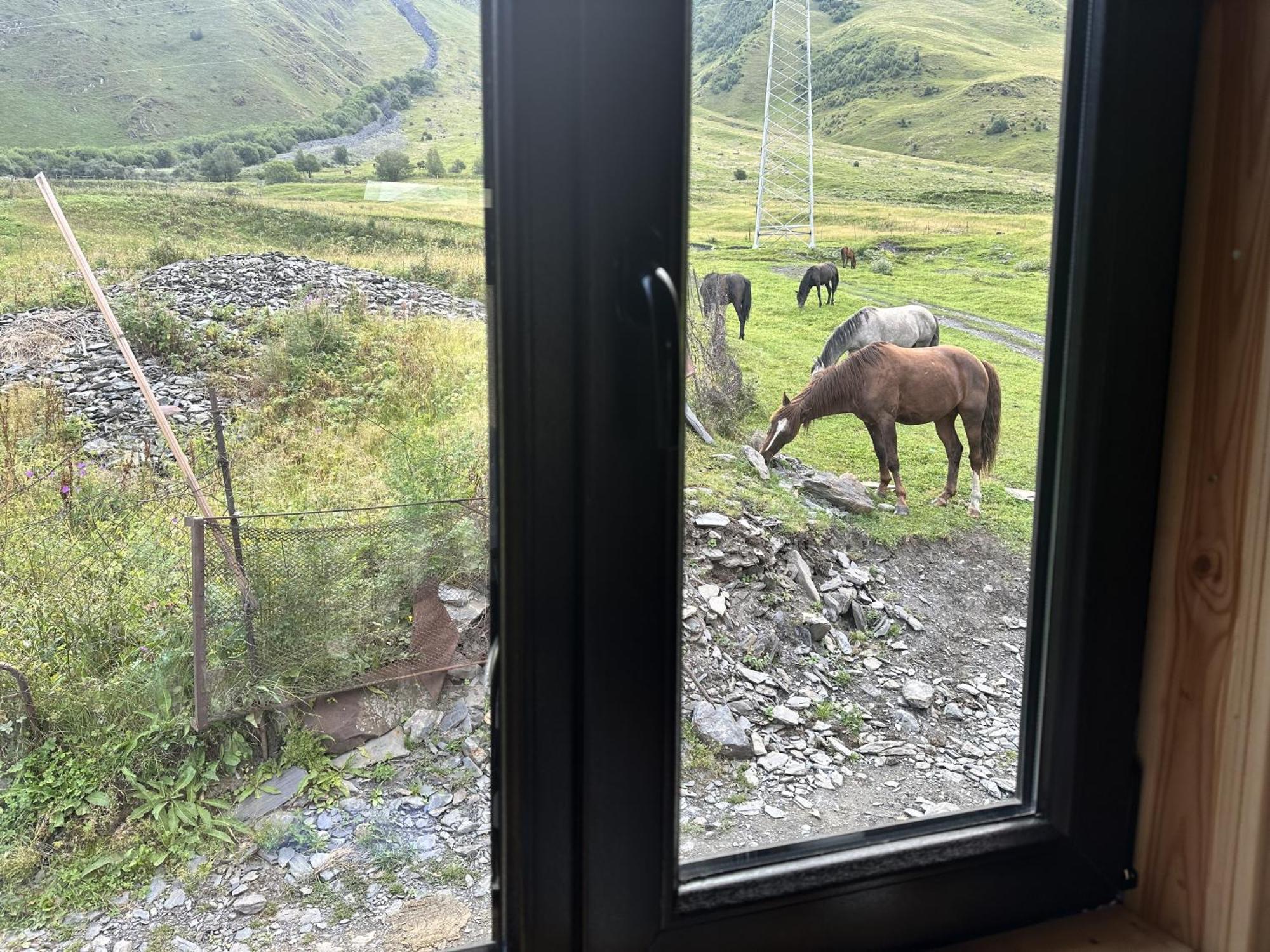 A&B Cottages Kazbegi Extérieur photo
